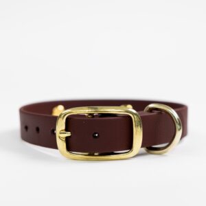Halsband Fern